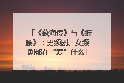 《藏海传》与《折腰》：男频剧、女频剧都在“爱”什么