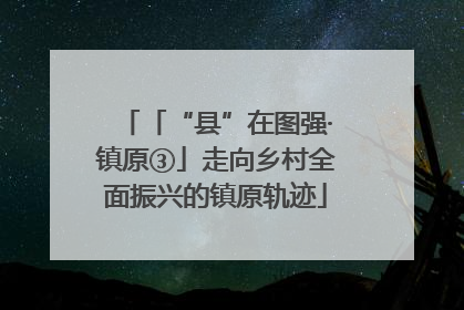 「“县”在图强·镇原③」走向乡村全面振兴的镇原轨迹