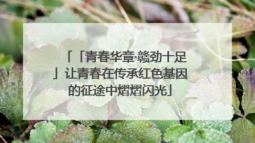「青春华章·赣劲十足」让青春在传承红色基因的征途中熠熠闪光
