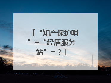 “知产保护哨”+“经盾服务站”=？