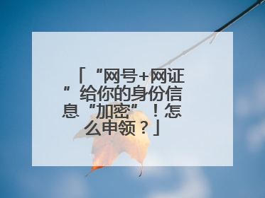 “网号+网证”给你的身份信息“加密”！怎么申领？