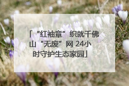 “红袖章”织就千佛山“无废”网 24小时守护生态家园