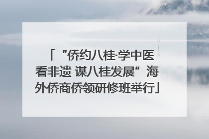 “侨约八桂·学中医 看非遗 谋八桂发展”海外侨商侨领研修班举行
