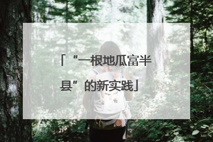 “一根地瓜富半县”的新实践
