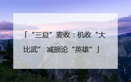 “三夏”麦收：机收“大比武” 减损论“英雄”
