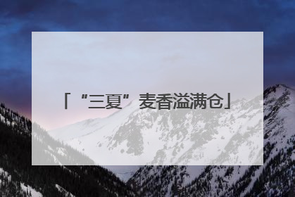 “三夏”麦香溢满仓