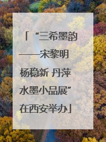 “三希墨韵——宋黎明 杨稳新 丹萍水墨小品展”在西安举办