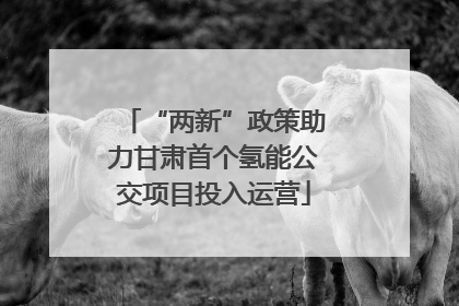 “两新”政策助力甘肃首个氢能公交项目投入运营