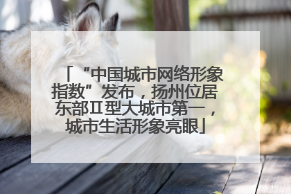 “中国城市网络形象指数”发布，扬州位居东部Ⅱ型大城市第一，城市生活形象亮眼