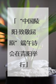 “中国陵阳·致敬屈原”端午诗会在青阳举行