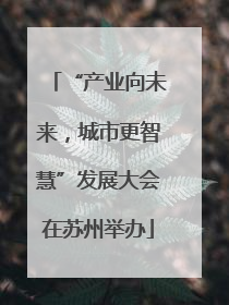 “产业向未来，城市更智慧”发展大会在苏州举办