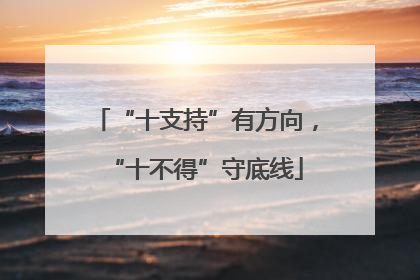 “十支持”有方向，“十不得”守底线