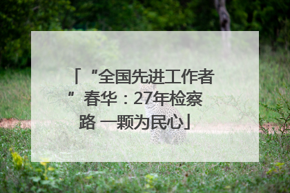 “全国先进工作者”春华：27年检察路 一颗为民心