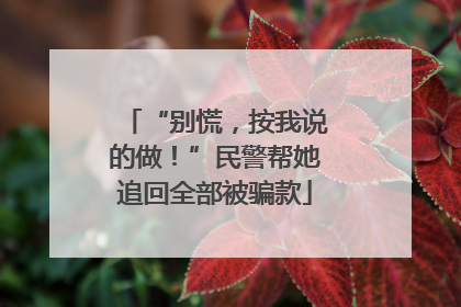 “别慌，按我说的做！”民警帮她追回全部被骗款