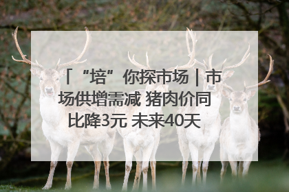 “培”你探市场｜市场供增需减 猪肉价同比降3元 未来40天便宜猪肉敞开吃