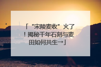 “宋陵麦收”火了！揭秘千年石刻与麦田如何共生→