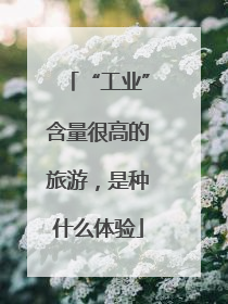 “工业”含量很高的旅游，是种什么体验