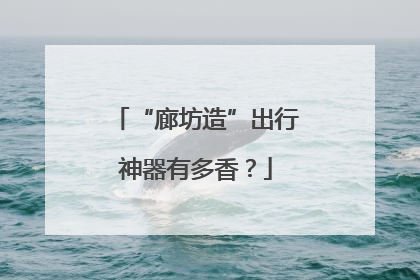 “廊坊造”出行神器有多香？