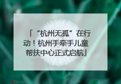 “杭州无孤”在行动！杭州手牵手儿童帮扶中心正式启航