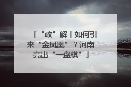 “政”解丨如何引来“金凤凰”？河南亮出“一盘棋”