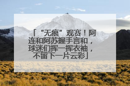 “无痕”观赛！阿连和阿苏握手言和，球迷们挥一挥衣袖，不留下一片云彩