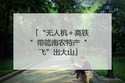 “无人机＋高铁”带赣南农特产“飞”出大山