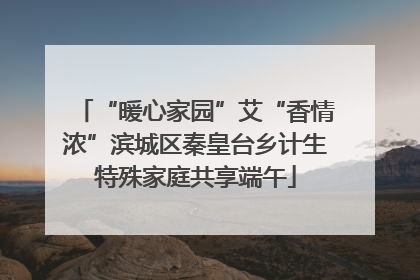 “暖心家园”艾“香情浓”滨城区秦皇台乡计生特殊家庭共享端午
