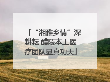 “湘雅乡情”深耕耘 醴陵本土医疗团队显真功夫