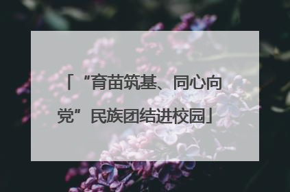 “育苗筑基、同心向党”民族团结进校园