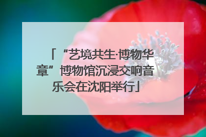 “艺境共生·博物华章”博物馆沉浸交响音乐会在沈阳举行