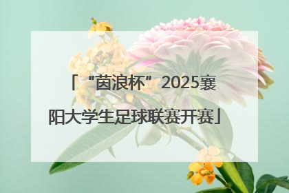 “茵浪杯”2025襄阳大学生足球联赛开赛
