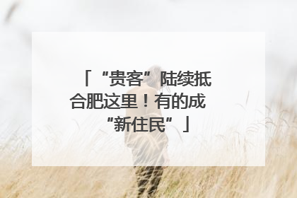 “贵客”陆续抵合肥这里！有的成“新住民”