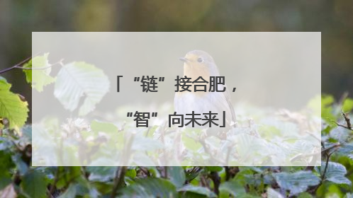“链”接合肥，“智”向未来
