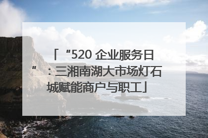 “520 企业服务日”：三湘南湖大市场灯石城赋能商户与职工
