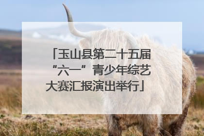 玉山县第二十五届“六一”青少年综艺大赛汇报演出举行
