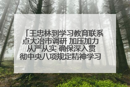王忠林到学习教育联系点大冶市调研 加压加力 从严从实 确保深入贯彻中央八项规定精神学习教育取得实效