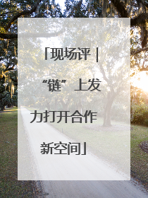 现场评｜“链”上发力打开合作新空间