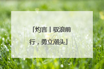 灼言丨驭浪前行，勇立潮头