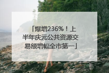 爆增236%！上半年庆元公共资源交易额增幅全市第一