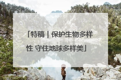 特稿｜保护生物多样性 守住地球多样美