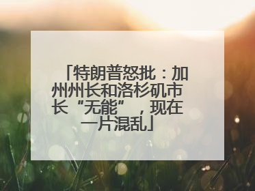 特朗普怒批：加州州长和洛杉矶市长“无能”，现在一片混乱
