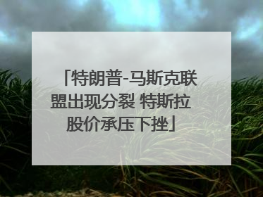 特朗普-马斯克联盟出现分裂 特斯拉股价承压下挫