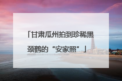 甘肃瓜州拍到珍稀黑颈鹤的“安家照”