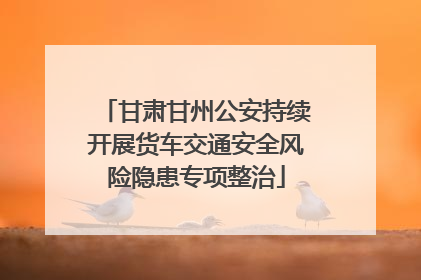 甘肃甘州公安持续开展货车交通安全风险隐患专项整治