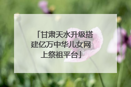 甘肃天水升级搭建亿万中华儿女网上祭祖平台