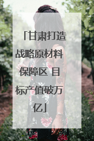 甘肃打造战略原材料保障区 目标产值破万亿