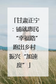 甘肃正宁：铺就惠民“幸福路” 跑出乡村振兴“加速度”