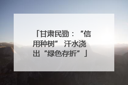 甘肃民勤：“信用种树” 汗水浇出“绿色存折”