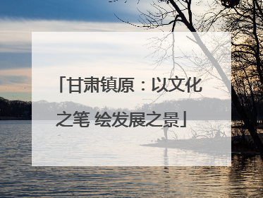 甘肃镇原：以文化之笔 绘发展之景