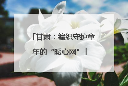 甘肃：编织守护童年的“暖心网”